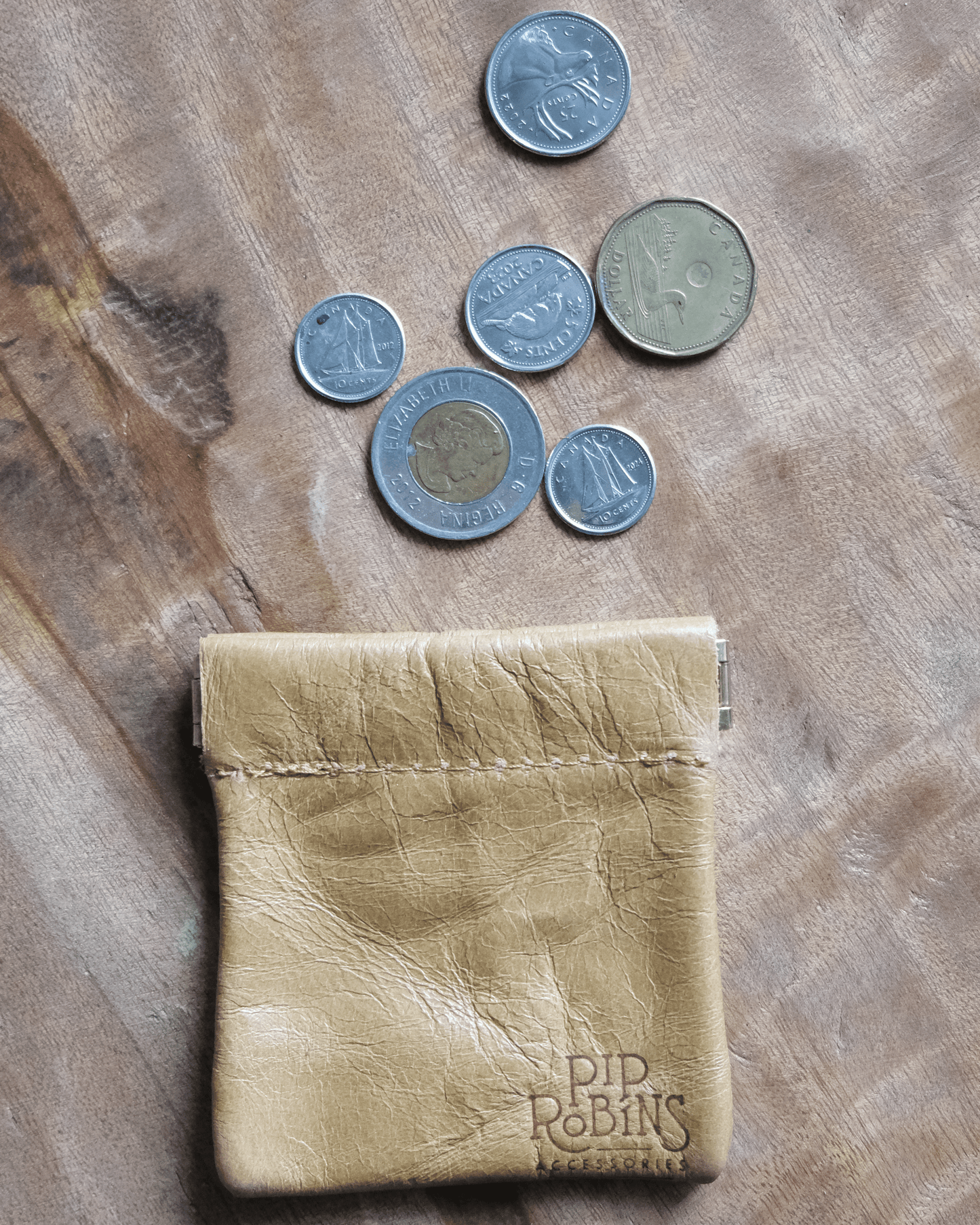 Flex Coin Pouch